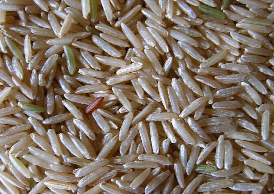 Riz basmati 02